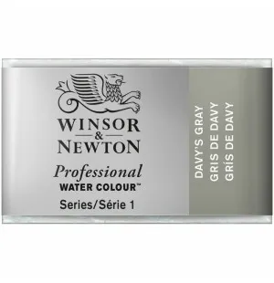 Winsor Newton akvarellfärg 1/1 Davy's Gray image