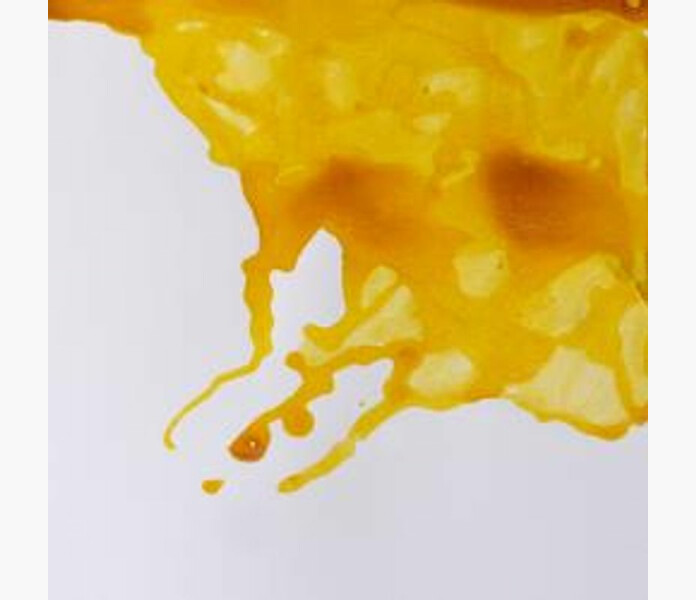 WN Drawing Ink 123 Canary Yellow 14ml kuva