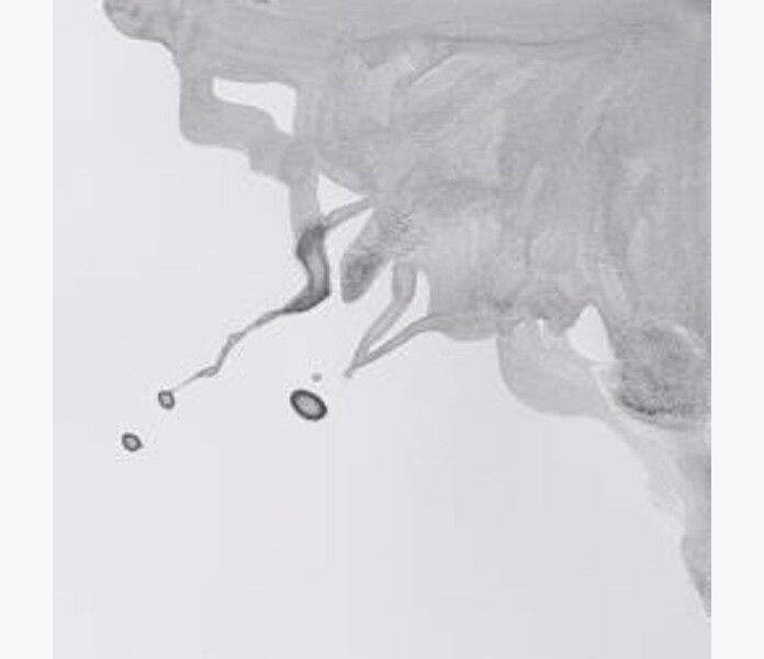 WN Drawing Ink 617 Silver 14ml kuva