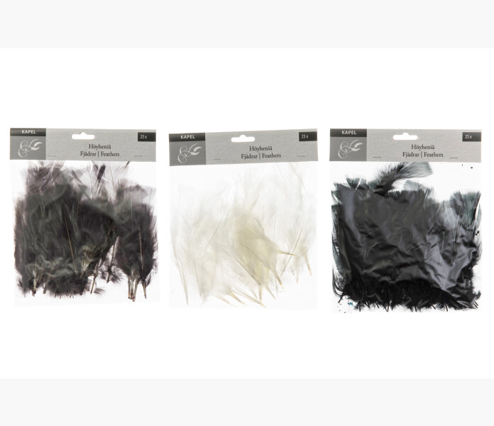 Fjadrar med staltrad image