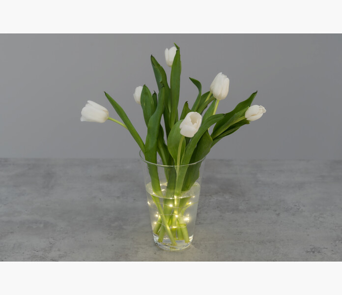 Finnlumor LED light waterproof 2pcs 3 image