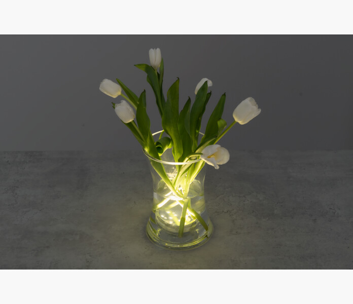 Finnlumor LED decorative light waterproof 5 image