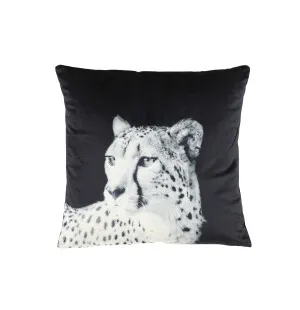 DYNA LEOPARD 4LIVING image