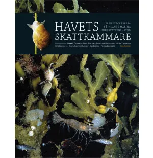 Havets skattkammare: En upptäcktsresa i Finlands kuva