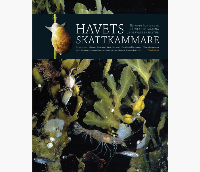 Havets skattkammare En upptacktsresa i Finlands marina undervattensnatur kuva