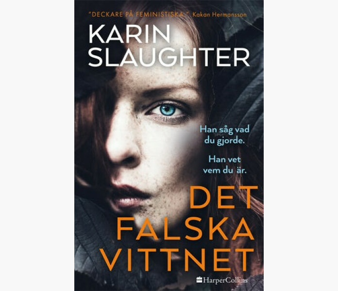 Det falska vittnet image