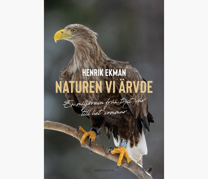 Naturen vi arvde. En miljoresa fran tyst var till kuva