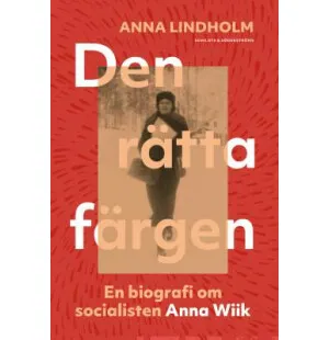 Den rätta färgen kuva