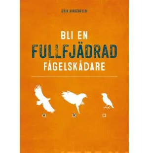 Bli en fullfjädrad fågelskådare kuva