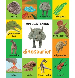 Min lilla pekbok: dinosaurier kuva