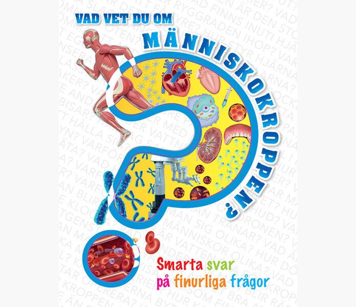 Vad vet du om manniskokroppen 9 12 ar kuva