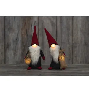 Tomte me led 25cm kuva