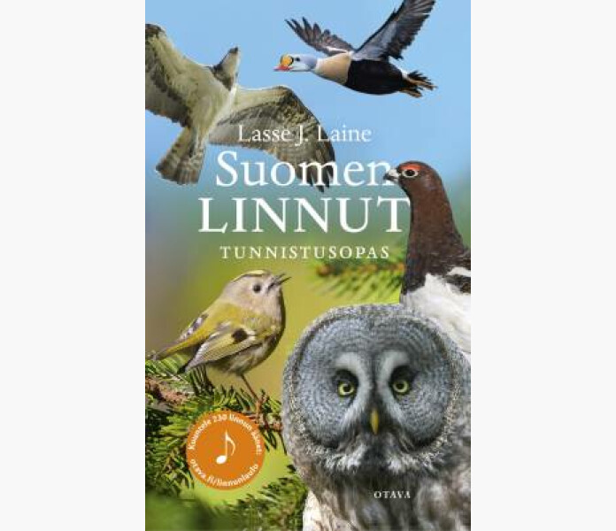 Suomen linnut kuva