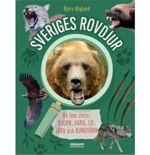 Sveriges rovdjur. De fem stora, Björn, varg, lo... kuva