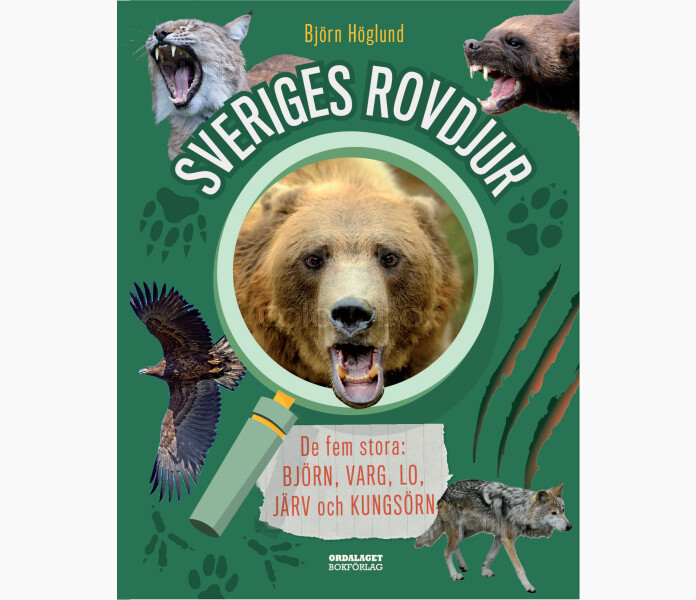 Sveriges rovdjur. De fem stora Bjorn varg lo... kuva