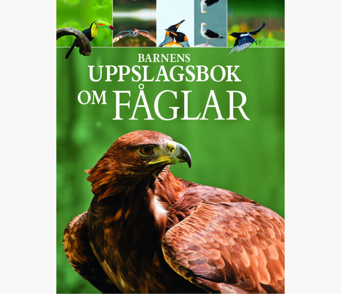Barnens uppslagsbok om Faglar kuva
