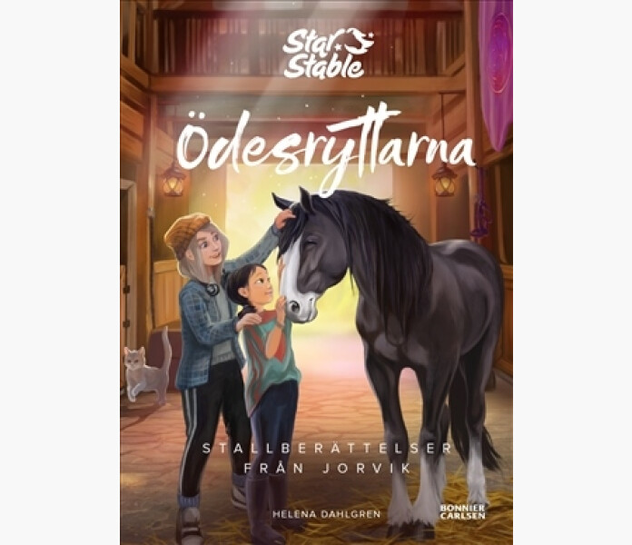 Stallberattelser fran Jorvik image