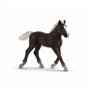Schleich Black Forest föl kuva