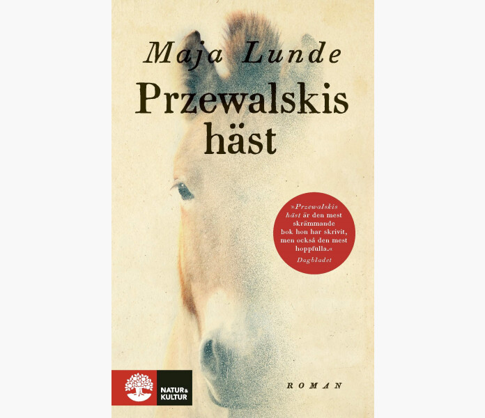 Przewalskis hast image