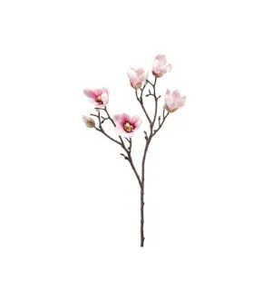 Magnoliakvist, 65cm image