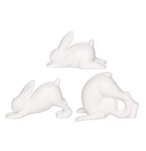 Påskhare som tränar vit sortiment kuva