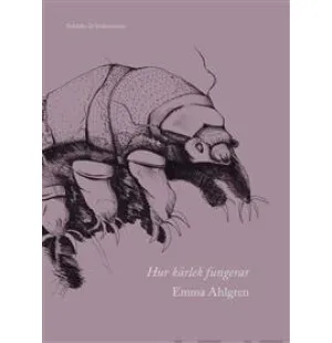 Hur kärlek fungerar image