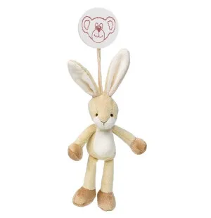 Teddykompaniet Diinglisar, Kanin kuva