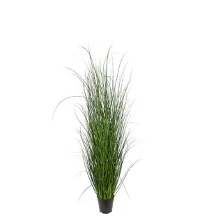 Gräs, 140cm image
