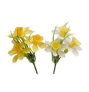 Narciss mix 10 cm image