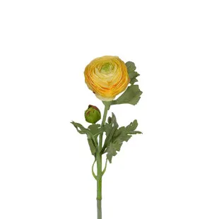Ranuncel gul, 34 cm image