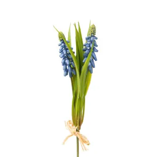 Pärlhyacint bunt, blå, 20cm image