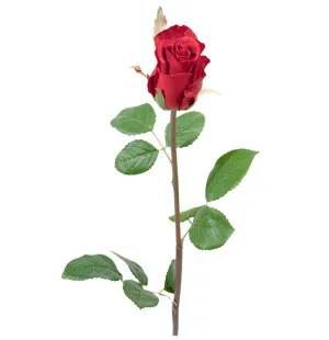 Ros, röd, 50 cm image