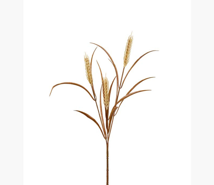 Vete beige 65cm kuva