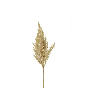 Pampasgräs Natur, 35cm image