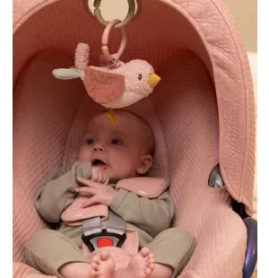 Little Dutch Sailors Bay darrande måsunge kuva