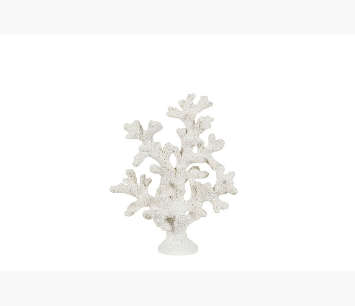 Korall Poly vit kuva