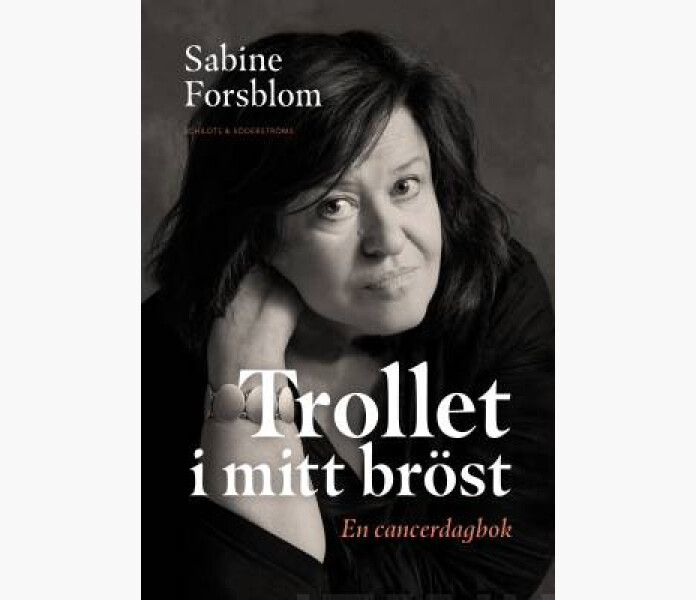 Trollet i mitt brost image