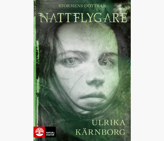 Nattflygare Stormens dottrar del 1 image
