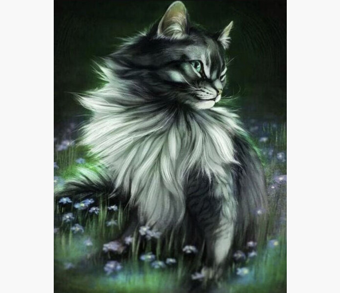 Diamanttavla 40 x 50 cm Vacker katt image