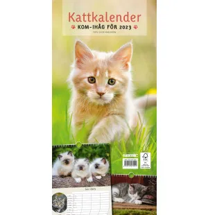 Kattkalender 2023 kuva