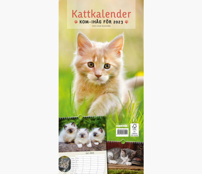 Kattkalender 2023 image