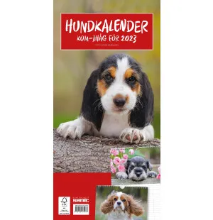 Hundkalender 2023 kuva