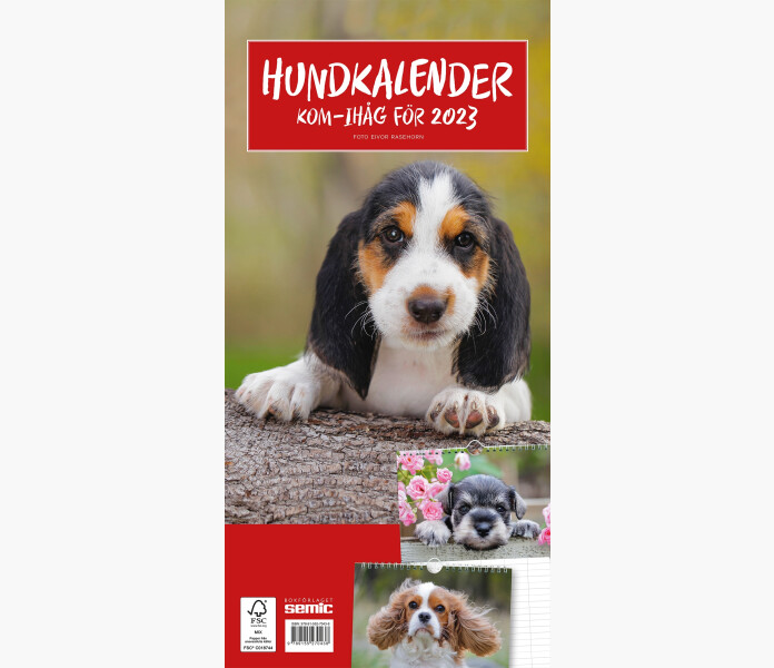 Hundkalender 2023 image