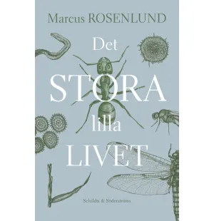 Det stora lilla livet kuva