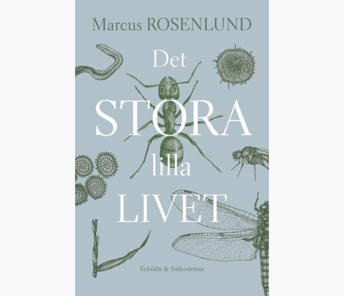 Det stora lilla livet kuva