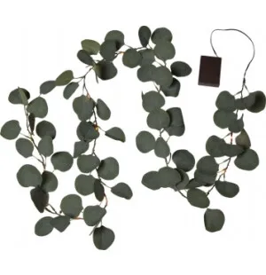 Star eucalyptus Ljusslinga, 180cm, kuva