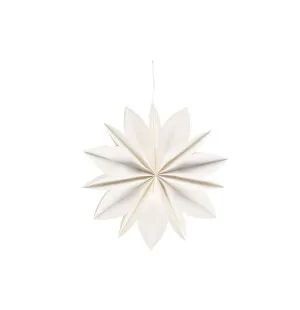 Winteria Pappersblomma vit, 45cm kuva