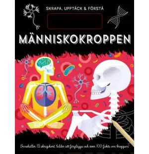 Människokroppen kuva