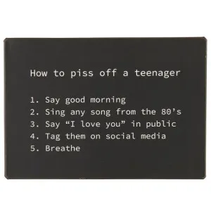 IB Laursen Metall Skylt How to piss off... image