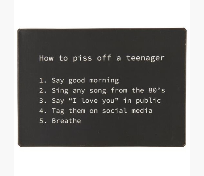 IB Laursen Metall Skylt How to piss off... image